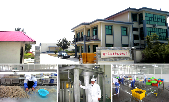 ST-D-UVL 在線紫外激光打標(biāo)機(jī)